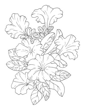 Flower Botanical Petunia Coloring Template
