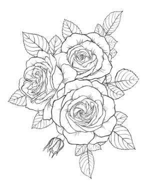 Flower Detailed Rose Arrangement Coloring Template