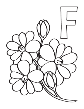 Flower F Is For Flower Simple Coloring Template