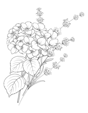 Flower Lavender And Hydrangea Botanical Coloring Template