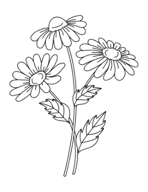 Free Download PDF Books, Flower Simple Daisies Coloring Template