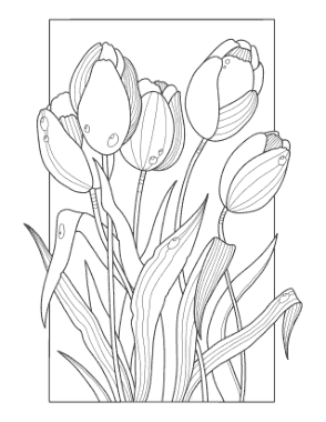 Flower Tulips Coloring Template