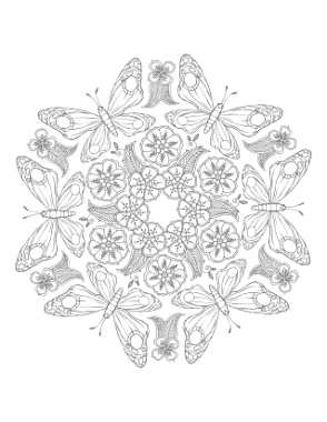Butterfly Detailed Mandala Pattern For Adults Coloring Template