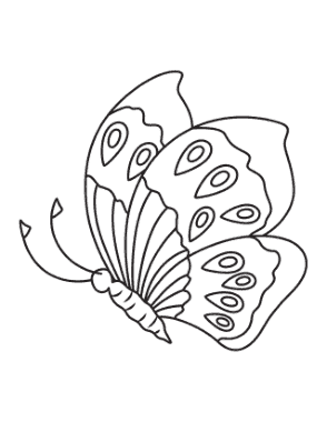 Butterfly Eye Spots Side View Coloring Template