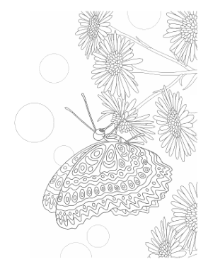 Butterfly Feeding From Flower Coloring Template