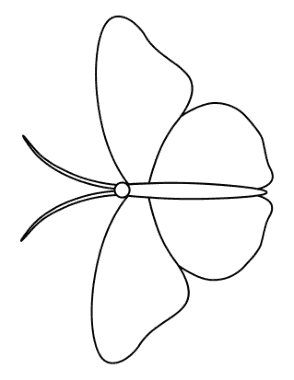 Butterfly Outline 9 Coloring Template