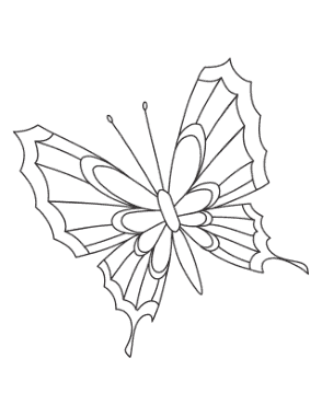 Butterfly Pattern To Color Coloring Template