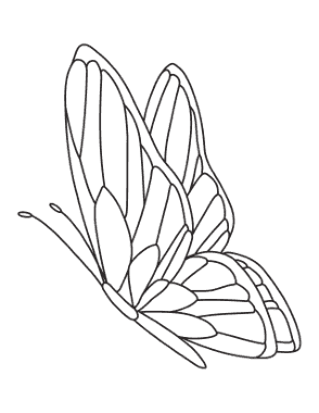 Butterfly Side Patterned Coloring Template