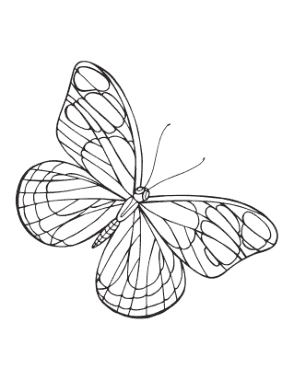 Butterfly Simple Outline Wing Veins Coloring Template
