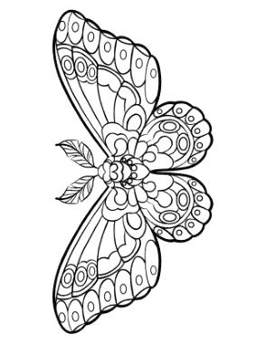 Butterfly Stylized Wing Pattern Feathered Antennae Coloring Template