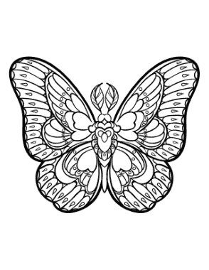 Butterfly Sylized Patterned Wings Feather Antennae Coloring Template