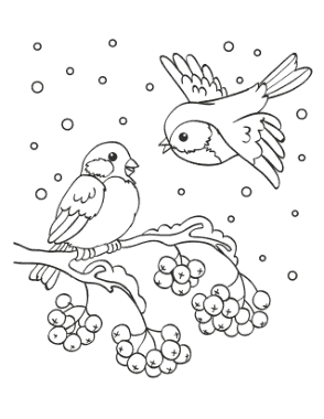 Winter Birds Snow Branch Berries Coloring Templat