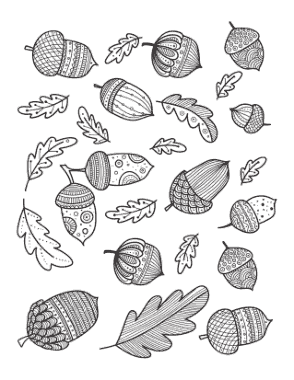 Acorn Oak Leaf Doodle For Adults Autumn and Fall Coloring Template