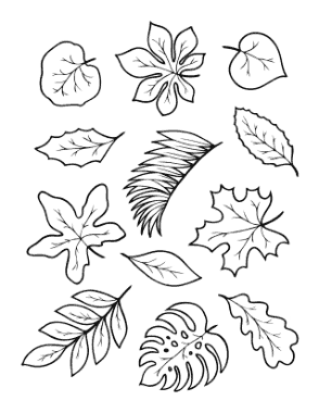 Leaves To Color Autumn and Fall Coloring Template