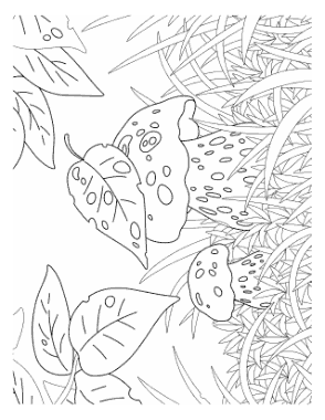 Mushrooms In Long Grass Autumn and Fall Coloring Template