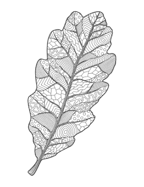Oak Leaf Doodle For Adults Autumn and Fall Coloring Template