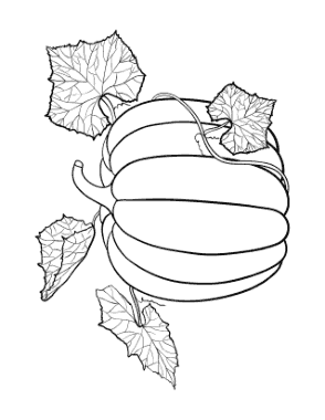 Pumpkin Patterned Vine Leaves Autumn and Fall Coloring Template