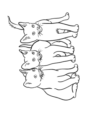 3 Cats Outline Cat Coloring Template