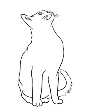 Cat Outline Looking Up Cat Coloring Template