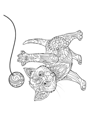 Kitten Playing Ball Detailed Pattern Cat Coloring Template