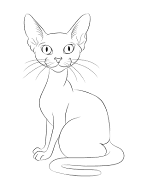 Sphynx Outline Cat Coloring Template