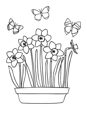 Daffodils Butterflies Spring Coloring Template