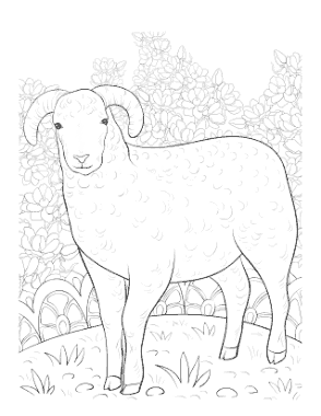 Detailed Lamb Drawing Spring Coloring Template