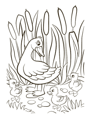 Mother Duck Ducklings Reeds Spring Coloring Template