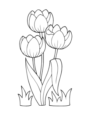 Tulips Spring Coloring Template