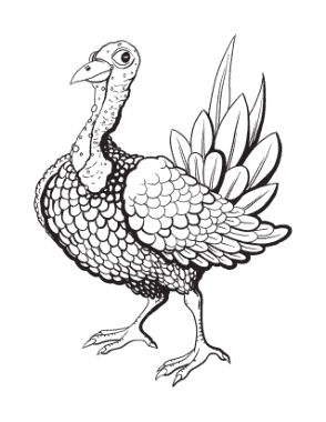 Thanksgiving Turkey Bumpy Neck Coloring Template