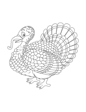 Turkey Adult Feathers Coloring Template