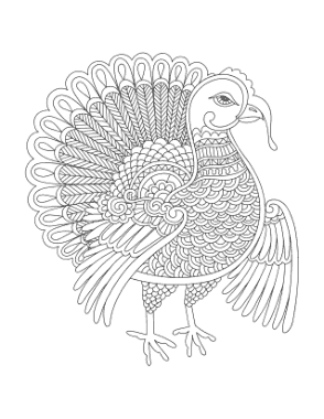 Turkey Detailed Turkey For Adults To Color Coloring Template
