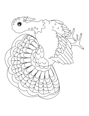 Turkey With Fanned Feathers Coloring Template