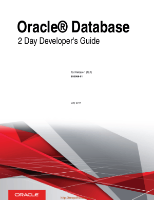 Oracle Database 2 Day Developers Guide