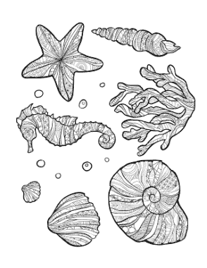 Sea Shell Doodle Summer Coloring Template