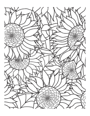 Sunflowers Doodle To Color Summer Coloring Template