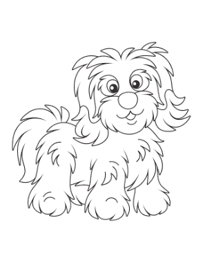 Bichon Havanese Cute Outline Dog Coloring Template