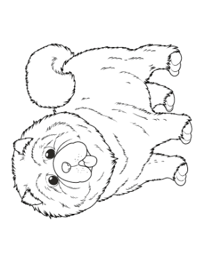 Chow Chow Outline Dog Coloring Template
