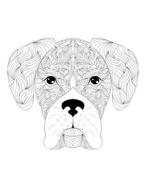 Cute Boxer Head For Adults Dog Coloring Template
