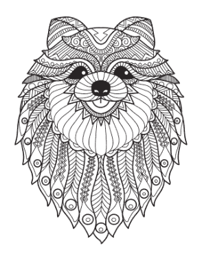 Detailed Pattern Pomeranian For Adults Dog Coloring Template