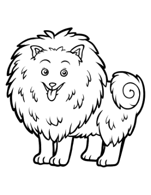 Pomeranian Outline Dog Coloring Template