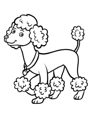 Poodle Outline Dog Coloring Template