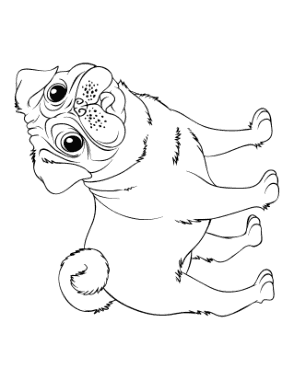 Pug Outline Dog Coloring Template