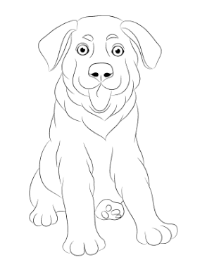 Puppy Dog Sitting Ears Down Dog Coloring Template