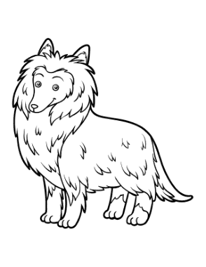 Rough Collie Outline Dog Coloring Template