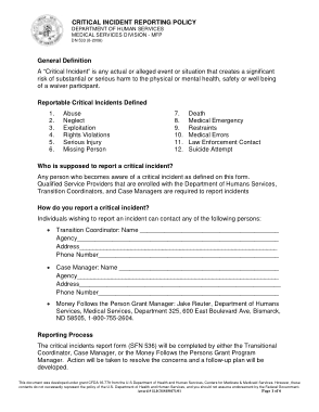 Critical Client Incident Report Template