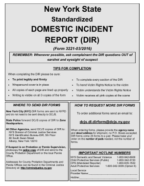 Domestic Incident Report Template