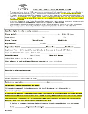 Employee Occupational Incident Report Template