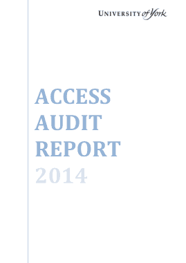 Access Audit Report Template