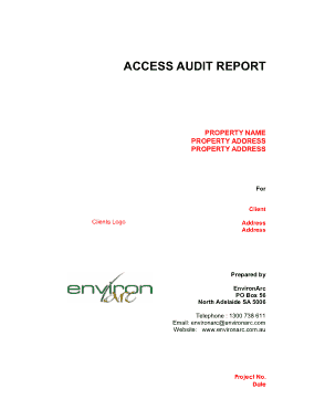 Editable Access Audit Report Template